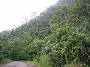 Roads were cut along the edge of steep hills