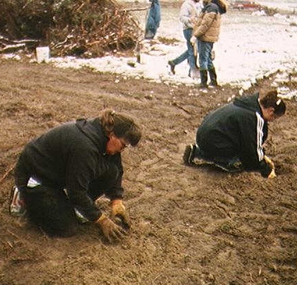 Volunteers prepare for cuttings.
